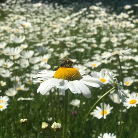 Na Vyhlídce Penzion Frýdlant nad Ostravicí